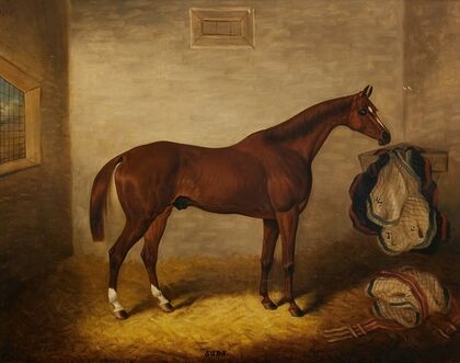 Suds in a Stable