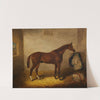 Suds in a Stable by Samuel Spode