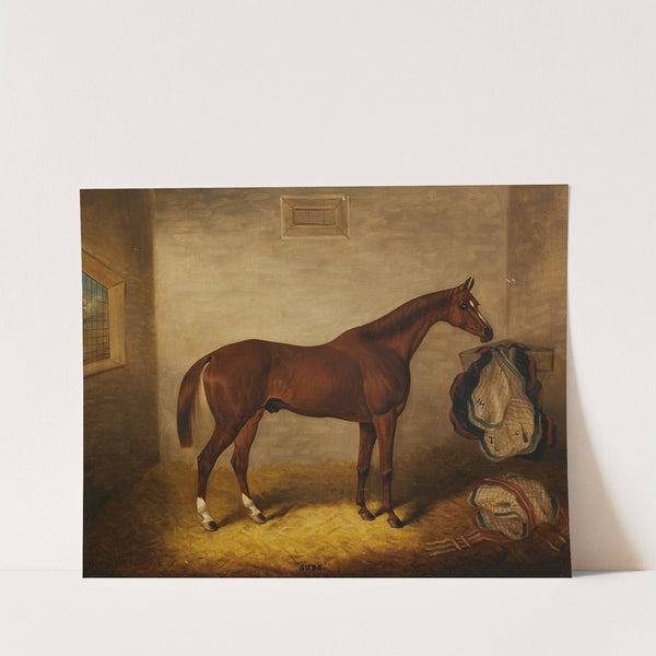 Suds in a Stable by Samuel Spode