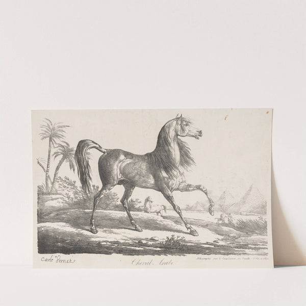 Suite de Chevaux; Cheval Arabe (c. 1780–1836) by Carle Vernet