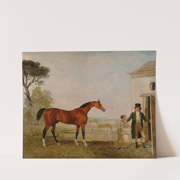 'Sultan' at the Marquess of Exeter's Stud, Burghley House by Lambert Marshall