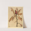 Sumac by Bertha Jaques