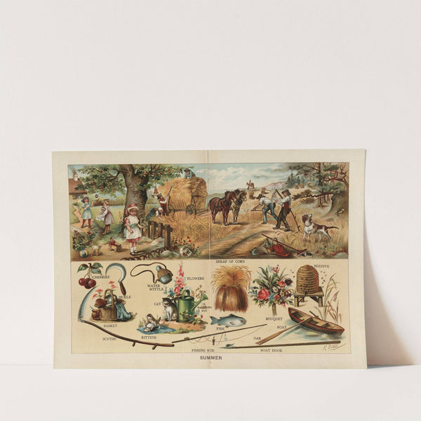 Summer by Frederick Warne & Co