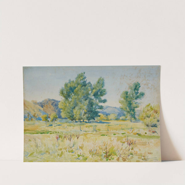 Summer by James Nairn