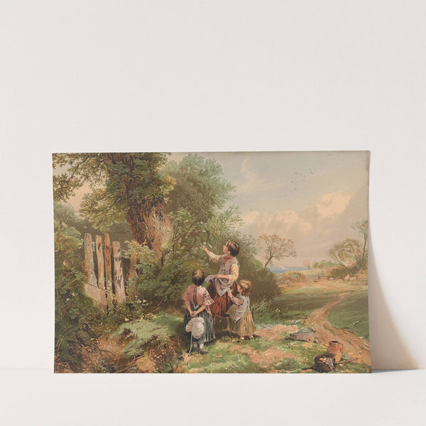 Summer by Myles Birket Foster