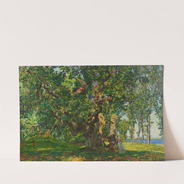 Summer day by Martin Brandenburg