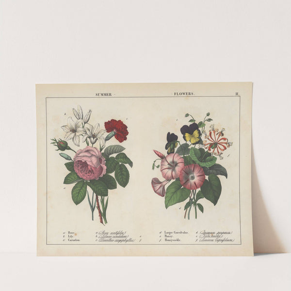 Summer Flowers by Charlotte Mary Yonge