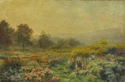 Summer Landscape