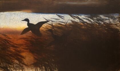 Summer Night Ducks Lifting off