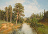 Summer Woodland Scene