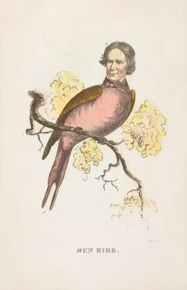 Sun Bird (James S. Wallace) (1851)