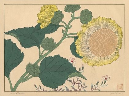 Sun flowers