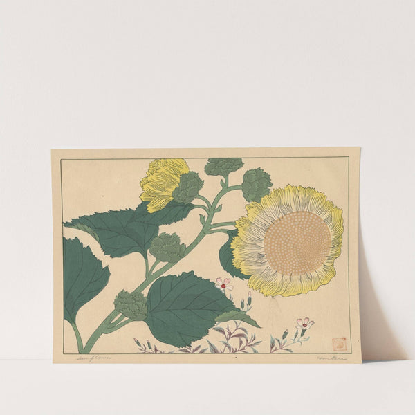 Sun flowers (1920s) by Sakai Hōitsu