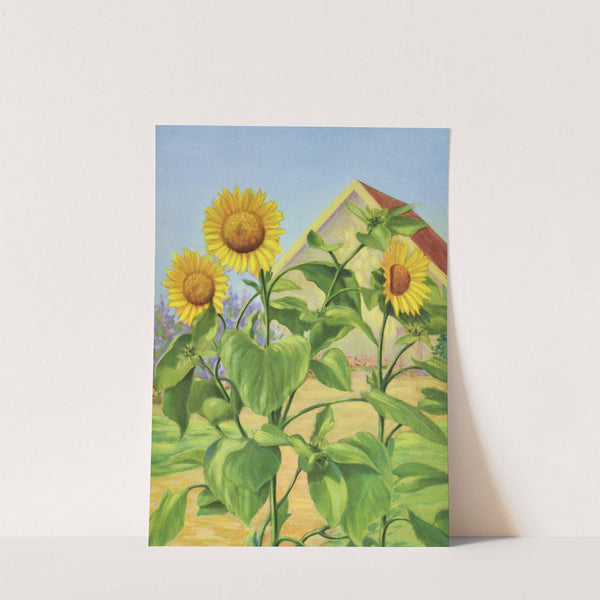 Sunflower by Lafayette F. Cargill