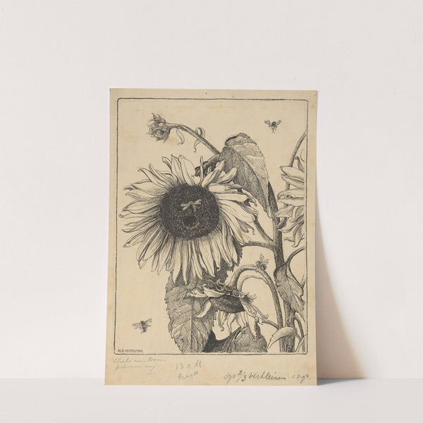 Sunflowers by Albert Hemelman