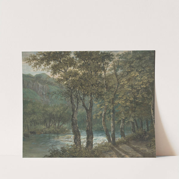 Sunlight Filtering through Trees along the River Sihl by Conrad Gessner