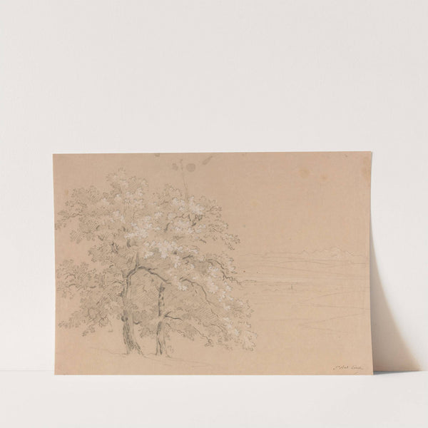 Sunlit Trees Before a Panoramic Landscape by Jean-Antoine Linck