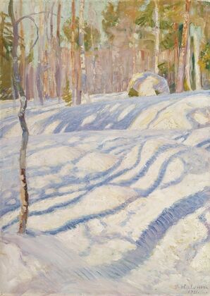 Sunlit Winter Lanscape