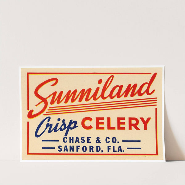 Sunniland Crisp Celery Label (1930-1950)