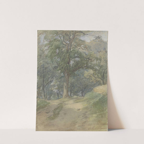 Sunny forest path by Jakob Fürchtegott Dielmann