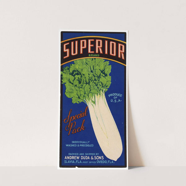 Superior Brand Celery Label (1930-1950)