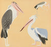 Nouvelles images à colorier, Des Oiseaux Pl.04 (1935)