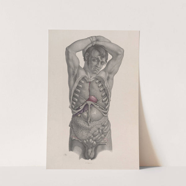 Surgical anatomy Pl.21 (1856) by Joseph Maclise