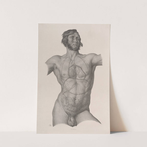 Surgical anatomy Pl.25 (1856) by Joseph Maclise