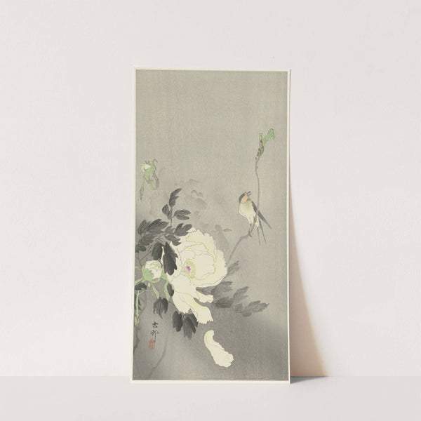 Swallow with Peony by Ohara Koson