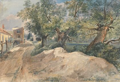 Swan Lake, Craven Hill, Bayswater
