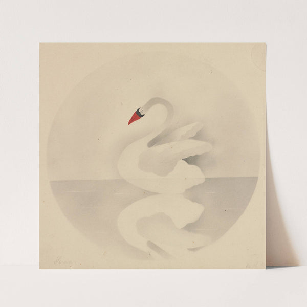 Swan (1800s) by Mary Altha Nims