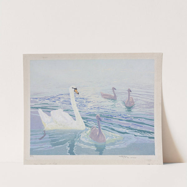 Swans and Cygnets (1911) by William Giles