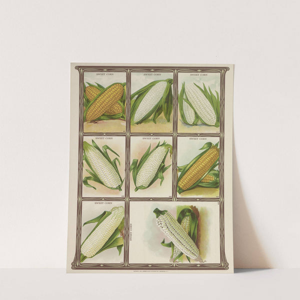 Sweet Corn (1921) by Genesee Valley Lithograph Co.
