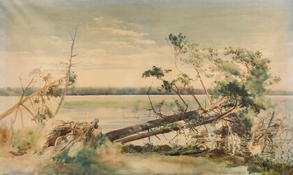 Świteź (1883 - 1884)