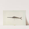 Swordfish Weather Vane by Robert Pohle