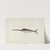 Swordfish Weather Vane by Robert Pohle