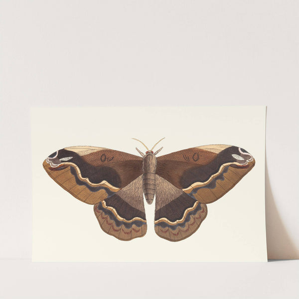 Sylla by George Shaw