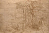 Sylvan Landscape with Five Bears (1554)