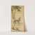 Symbols of Longevity; Deer under Peach and Pine (Pine) (1801) by Toda Tadanaka
