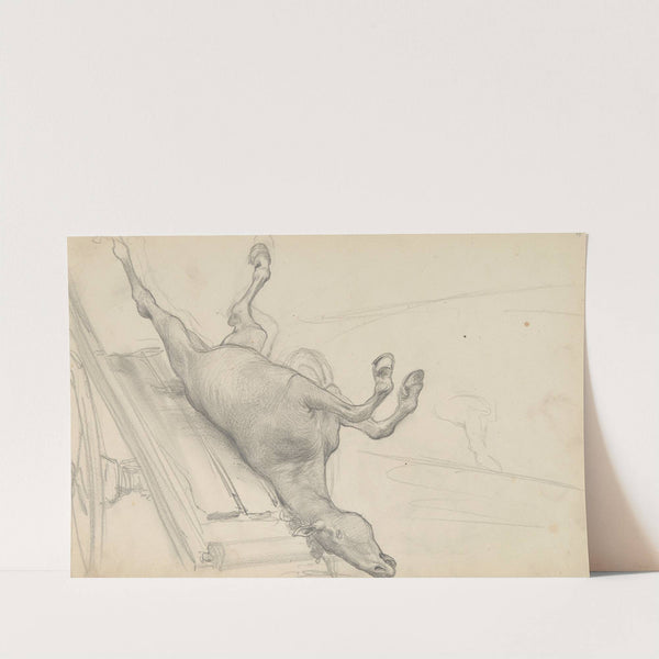 szkic padłego konia do obrazu 'Pogrzeb wodza Rusów' by Henryk Siemiradzki