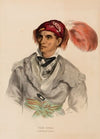 Tah-Chee (Dutch), A Cherokee Chief