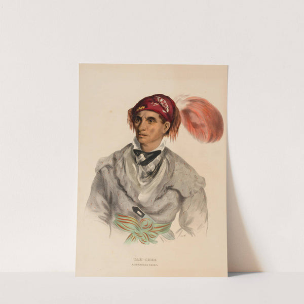 Tah-Chee (Dutch), A Cherokee Chief (1837) by Charles Bird King