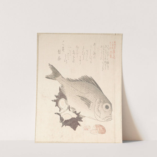 Tai Fish and Top-Shells by Kubo Shunman