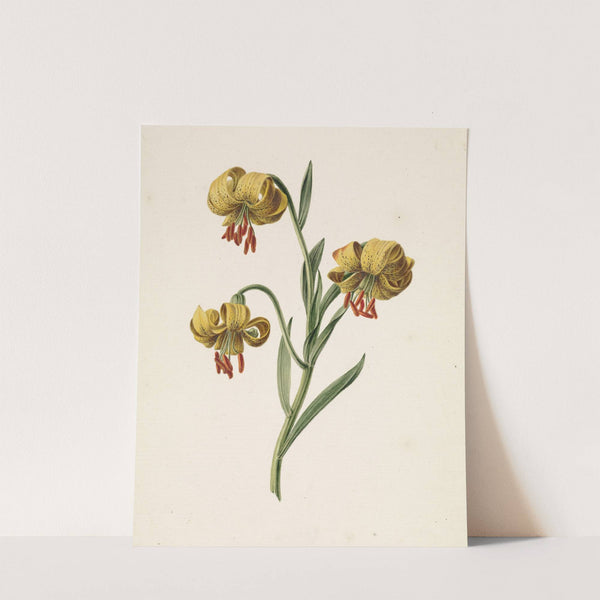 Tak met drie gele lelies by M. de Gijselaar