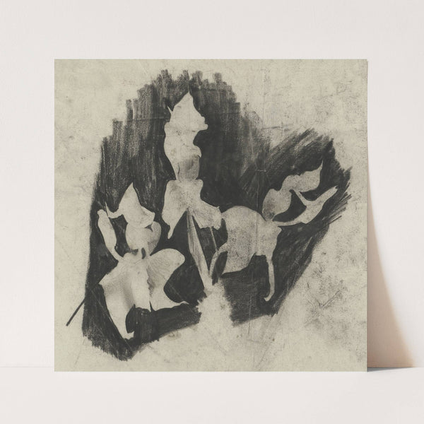 Tak orchideeën by Carel Adolph Lion Cachet