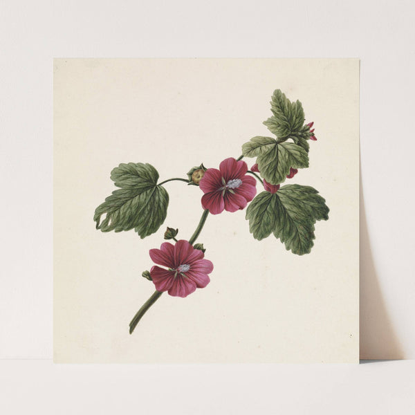 Takje met paarse bloemen (1830) by M. de Gijselaar