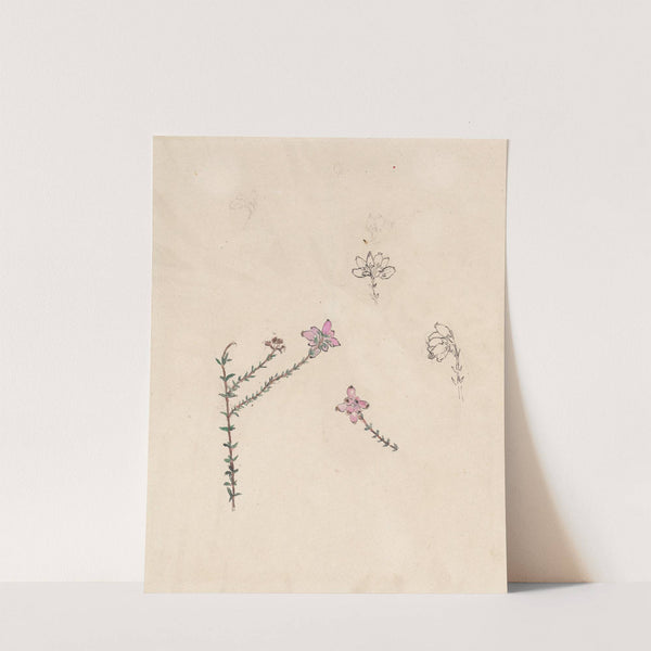 Takje met roze knoppen by Theo Nieuwenhuis