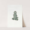 Taper Mammillaria by Sydenham Edwards