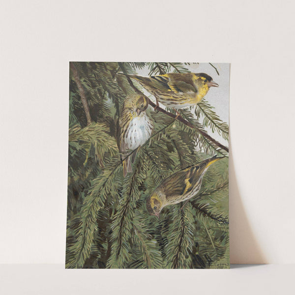 Tarin (1880) by Léo-Paul Robert