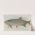 Tarpon (1889) by Allen & Ginter
